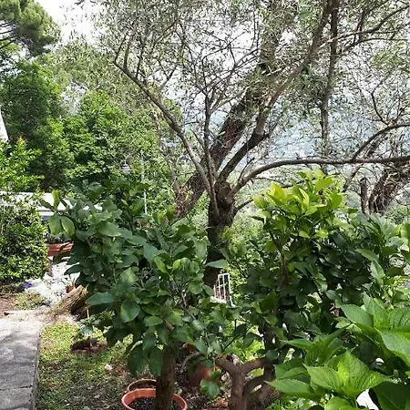 Terrace And Garden Santa Margherita - Ap2b * Santa Margherita Ligure