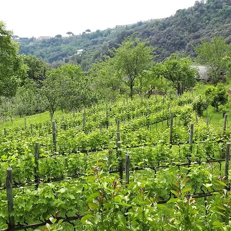 Holiday home Terrace And Garden Santa Margherita - Ap2b