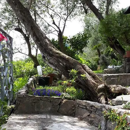Terrace And Garden Santa Margherita - Ap2b Holiday home