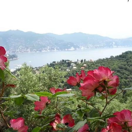 Terrace And Garden Santa Margherita - Ap2b Holiday home