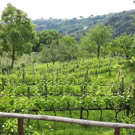Terrace And Garden Santa Margherita - Ap2b Holiday home