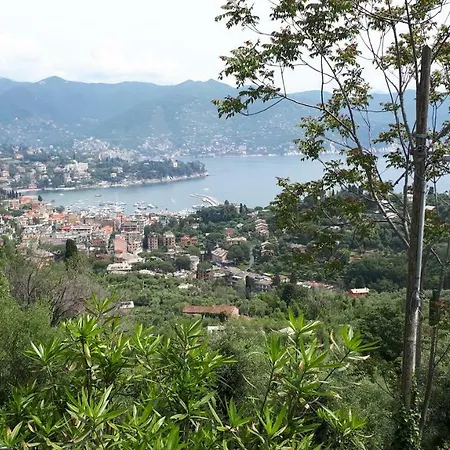 Terrace And Garden Santa Margherita - Ap2b Feriehus Santa Margherita Ligure