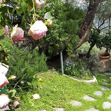 Terrace And Garden Santa Margherita - Ap2b Santa Margherita Ligure